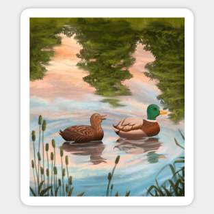 Ducks swimming on pond Sticker